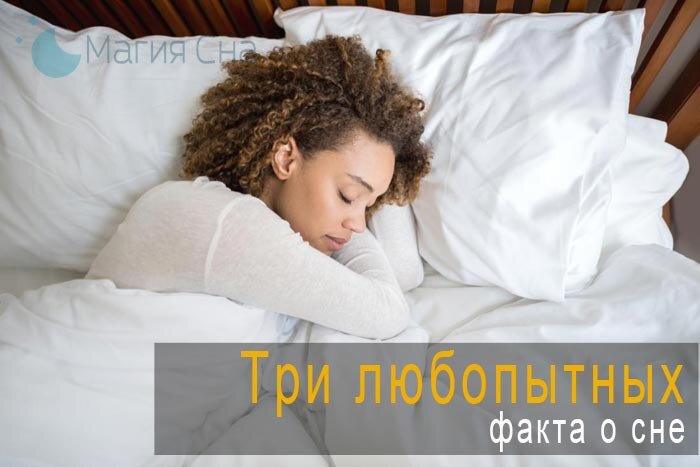 Три любопытных факта о сне