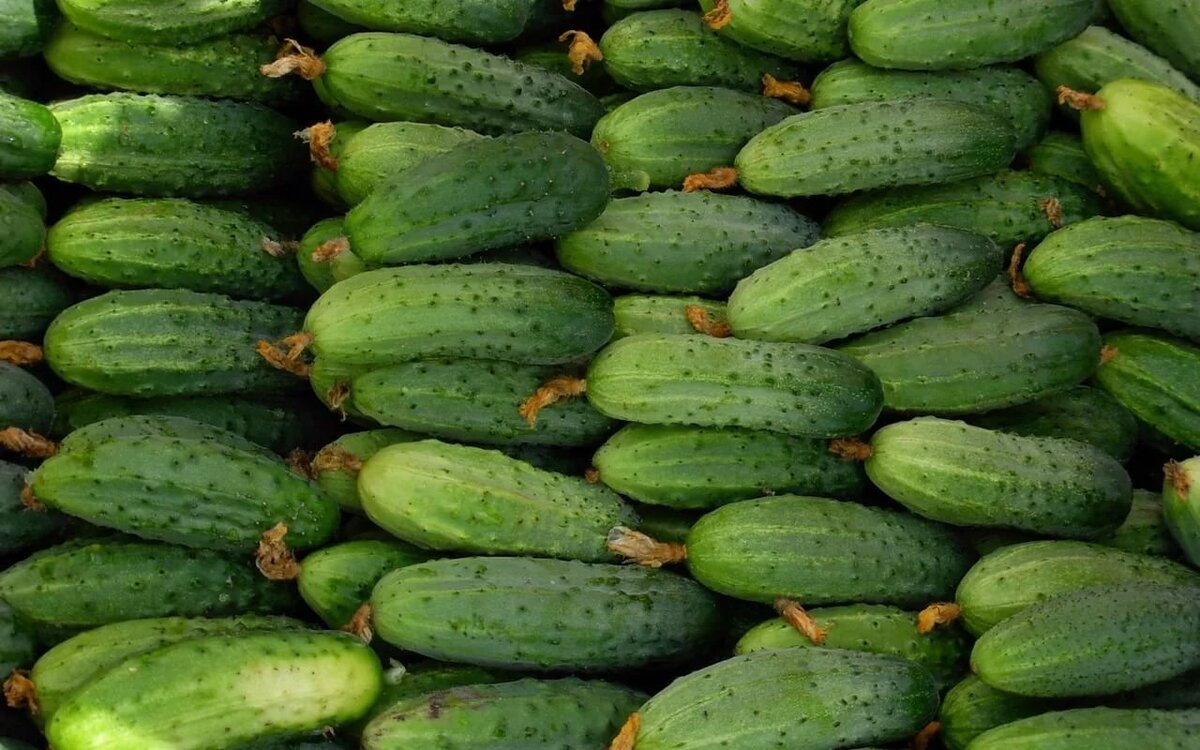 источник фото: perelomu.net