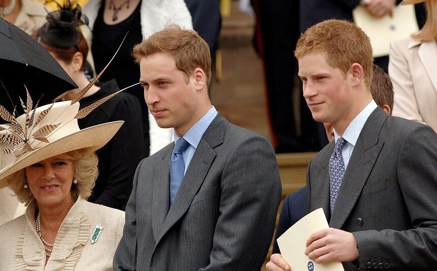 Не секрет, что принц Уильям и принц Гарри были очень близки с их покойной матерью, принцессой Дианой. Это можно увидеть по сотням фотографий, Дианы с ее сыновьями. Они ее очень любили.