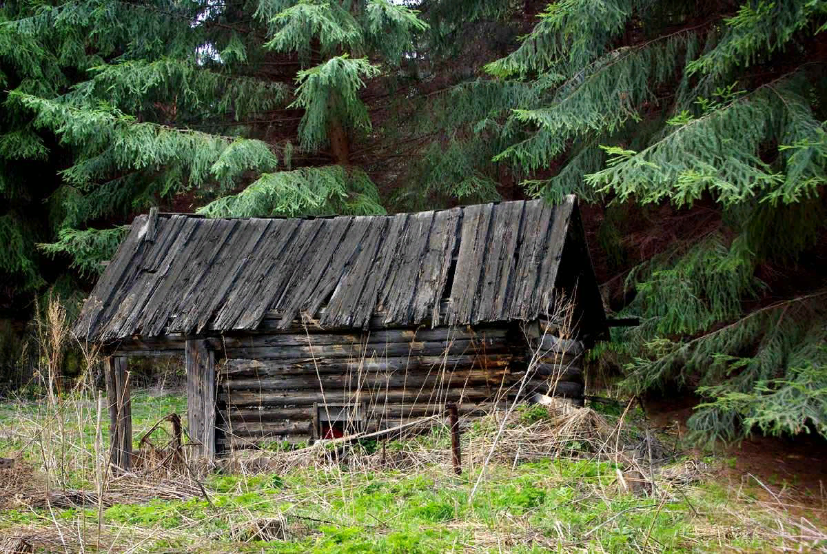 Таежные глубинки. Заброшенные Сибирские деревни в тайге. Избушка Зигальга. Домик лесника в тайге. Заповедник Лесная избушка СПБ