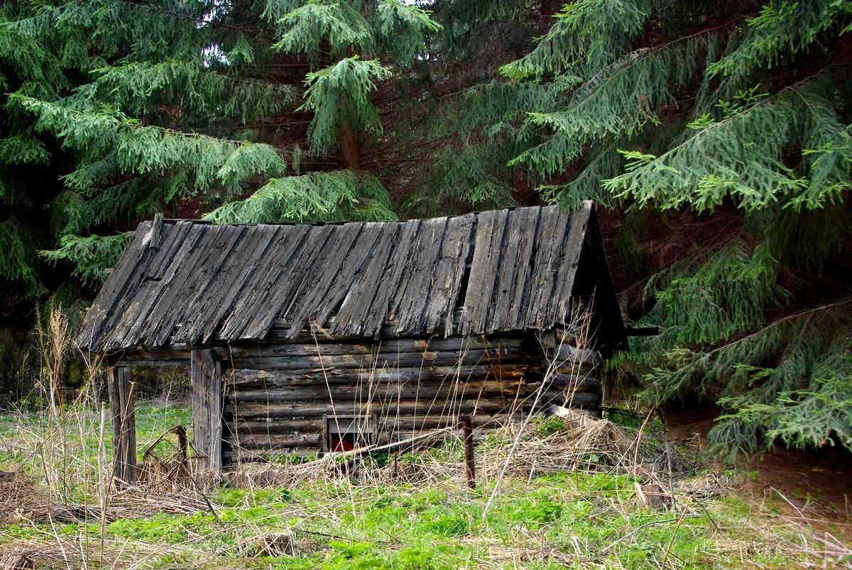 Место для глухой деревни. Зигальга избушка. Заброшенные Сибирские деревни в тайге. Заповедник Лесная избушка СПБ. Заимка лесника.