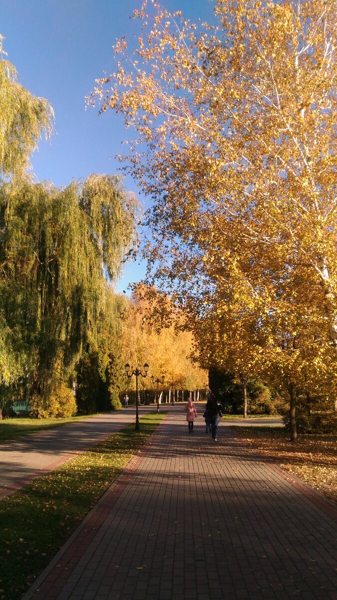 Природа является одним из самых сильных источников вдохновения. Поэтому даже обычная прогулка по парку может поднять Вам настроение, заставить собраться с силами и двигаться вперёд.