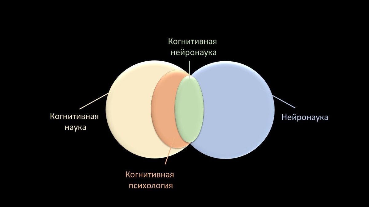 нейро отличия. нейро отличия.