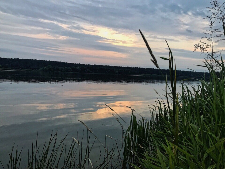 Яченское водохранилище в калуге. Озеро в Калуге. Озеро Слевидовское Калуга. Станкостроитель озеро Калуга. Калужское озеро рыбалка.