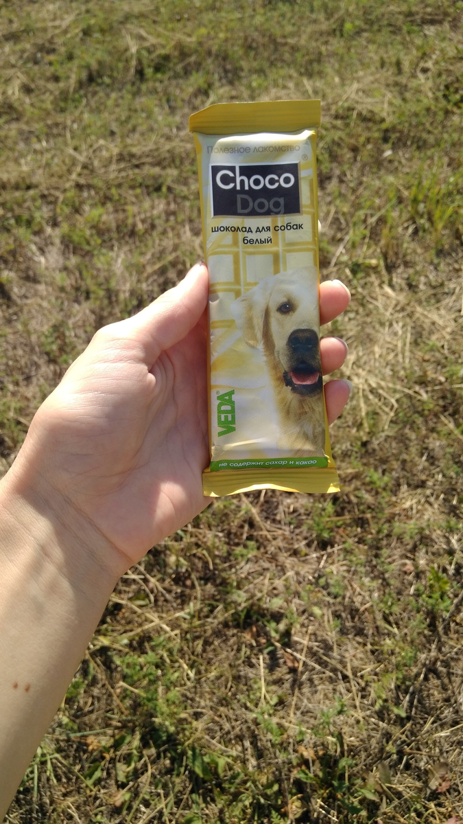 Юля выбрала мне белый шоколад, а есть еще молочный и темный.