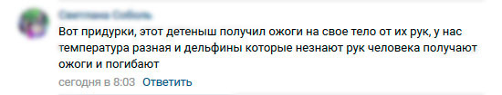Скриншот комментария из Вконтакте