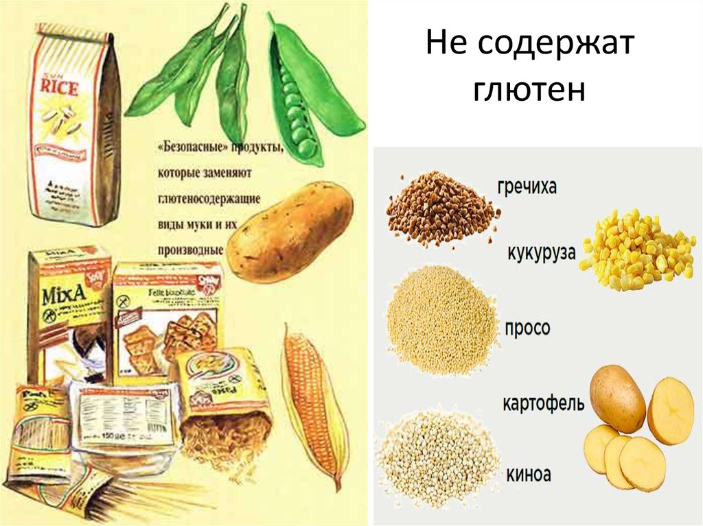 Пшено содержит. Злаки содержащие глютен. Продукты без глютена. Глютено содежащие продукт. Продукты содержащие глютен.