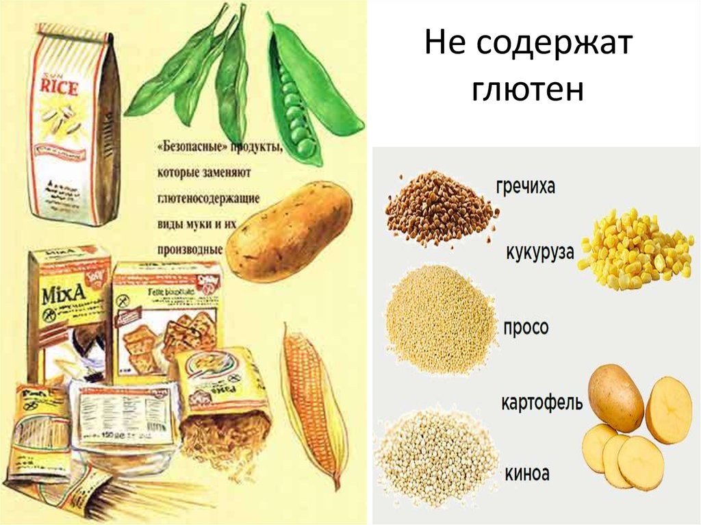 Глютен что это в каких продуктах. Злаки содержащие глютен. Продукты без глютена. Глютено содежащие продукт. Продукты содержащие глютен.