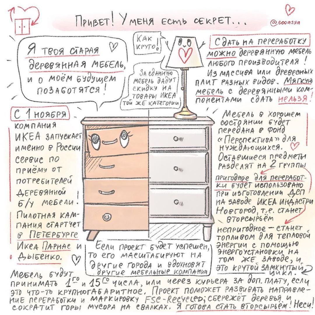 Иллюстрация: Ася Мицкевич