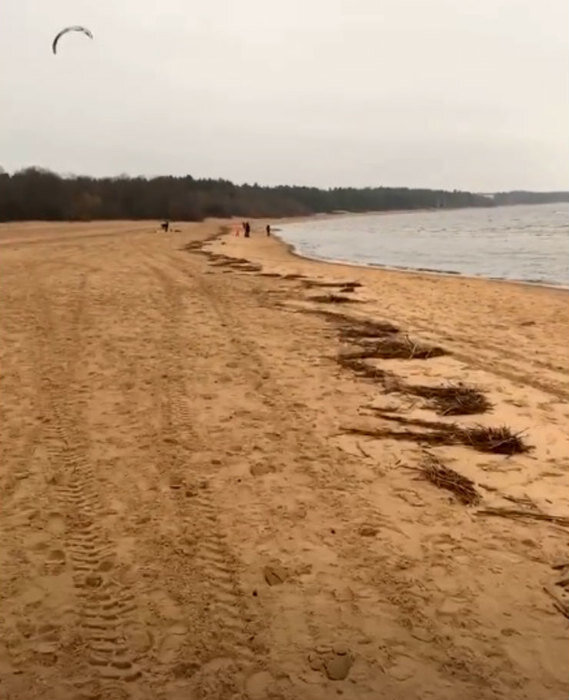 Лариса Гузеева показала пустынное побережье Финского заливаinstagram.com/_larisa_guzeeva_ПОПУЛЯРНОЕ