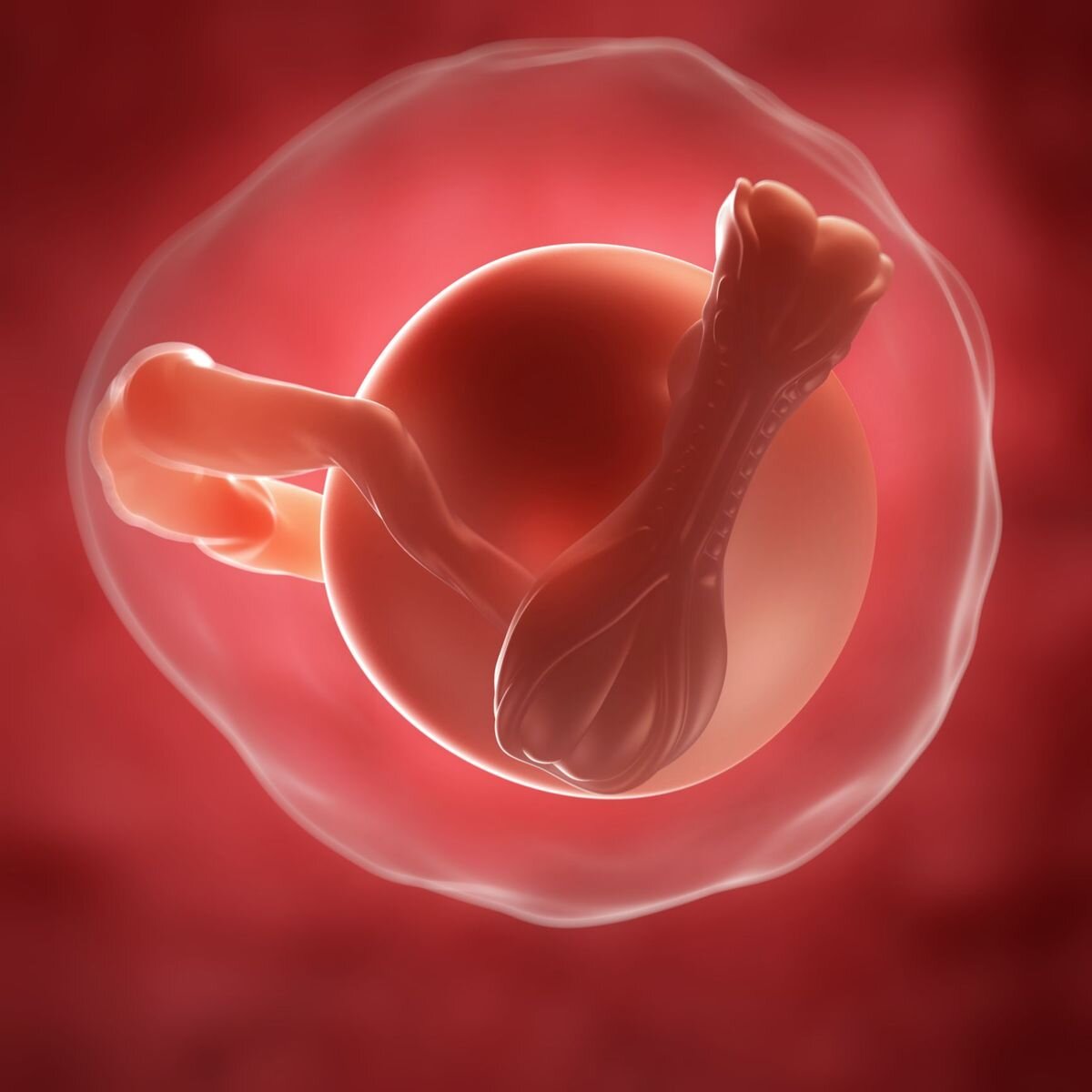 Источник фото: Яндекс Картинки