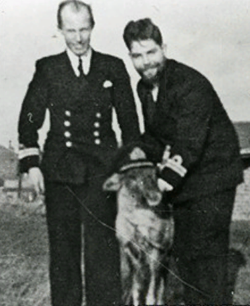 Фото из Яндекс.Картинки