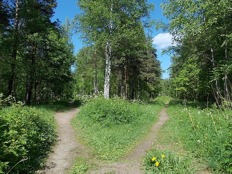 Источник - https://ru.wikipedia.org