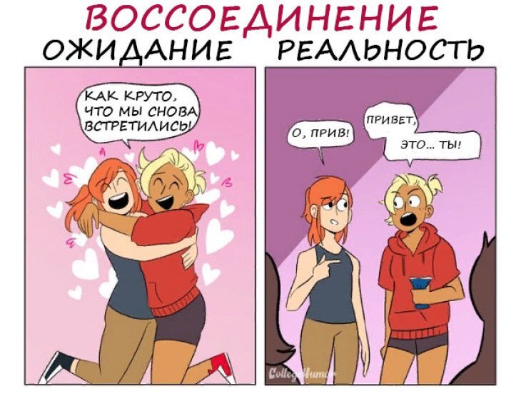 Изображение взято из открытых источников