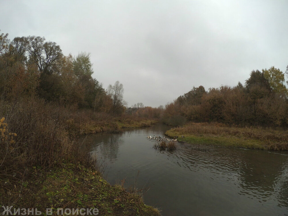 фото из личного архива