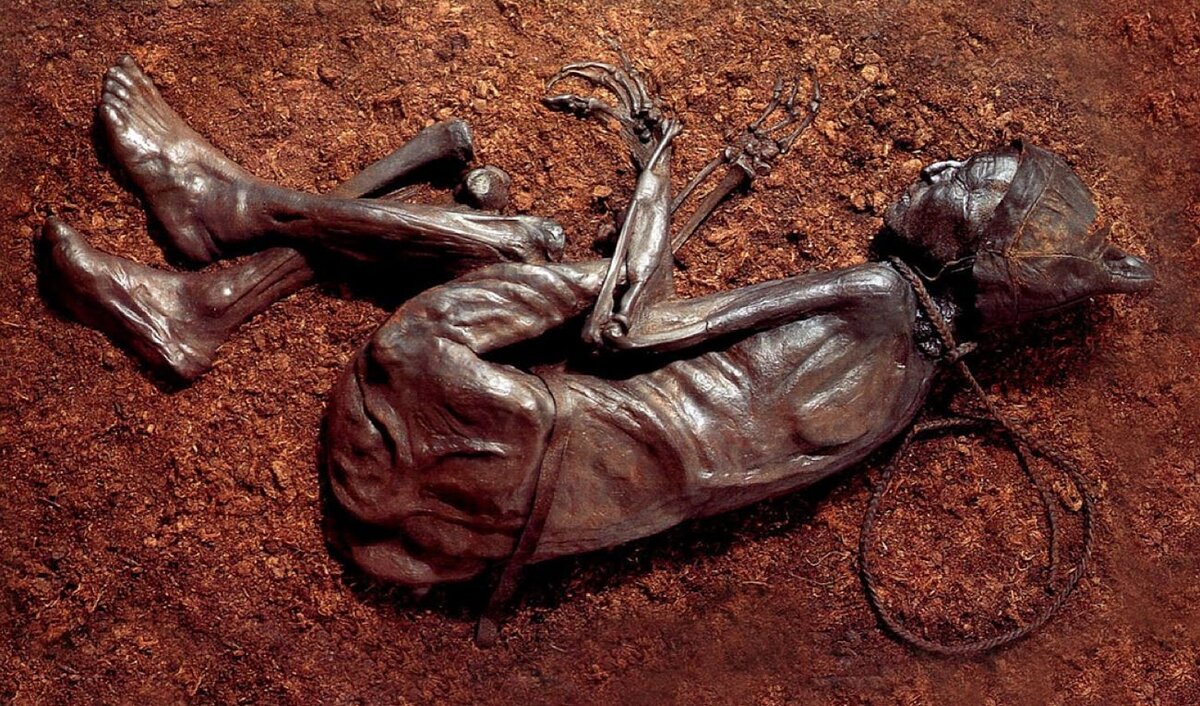 Мумии из торфяных болот. Фото из Яндекс Картинки