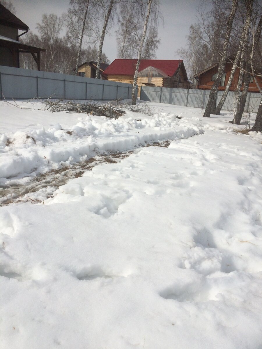 28 марта 2019г