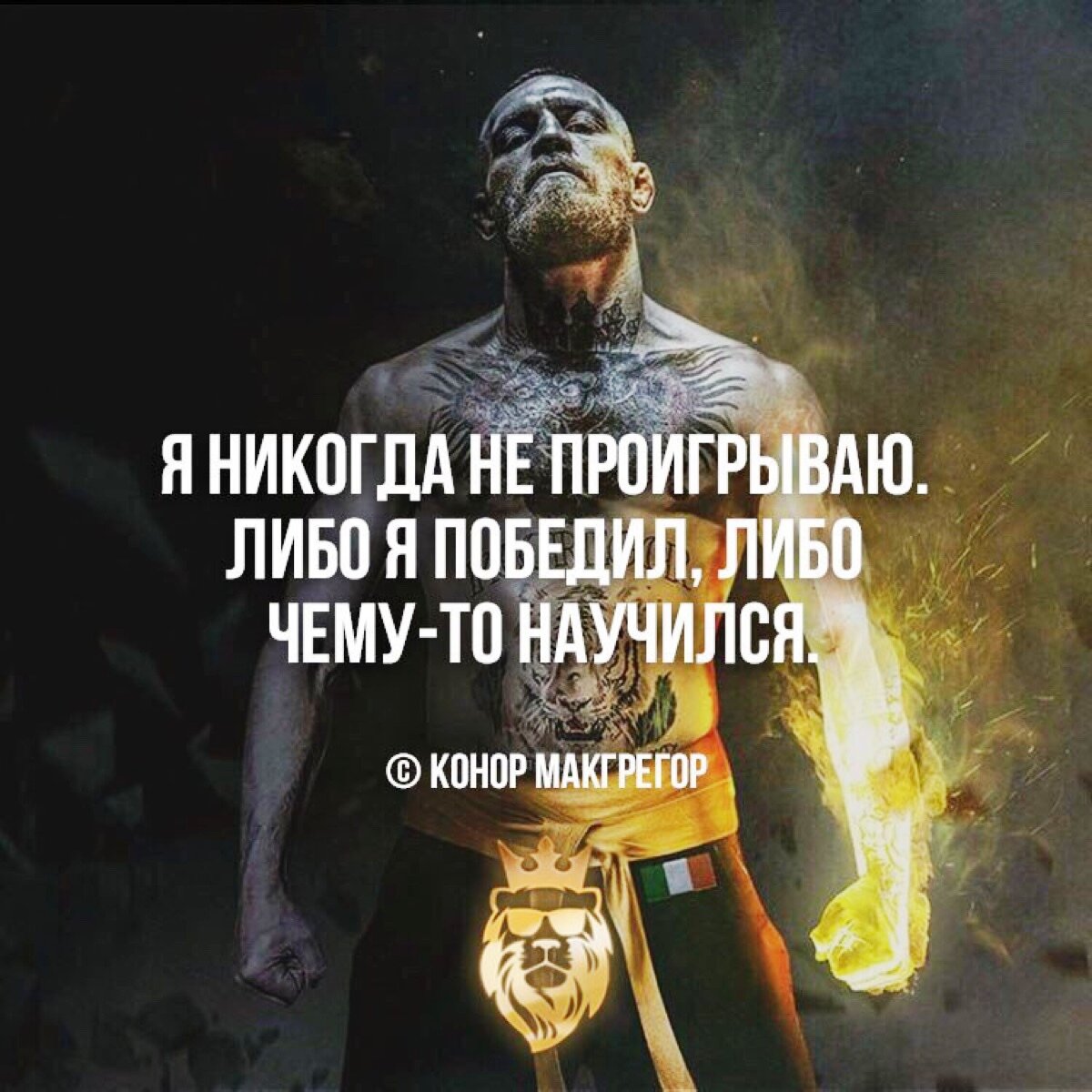 Иллюстрация из источника: https://twitter.com/arktur72/status/1119209993826439168 