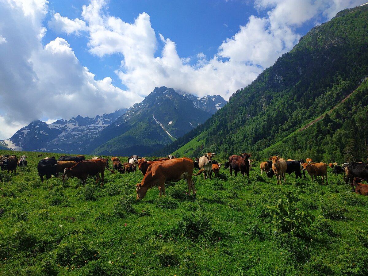 маленькая швейцария