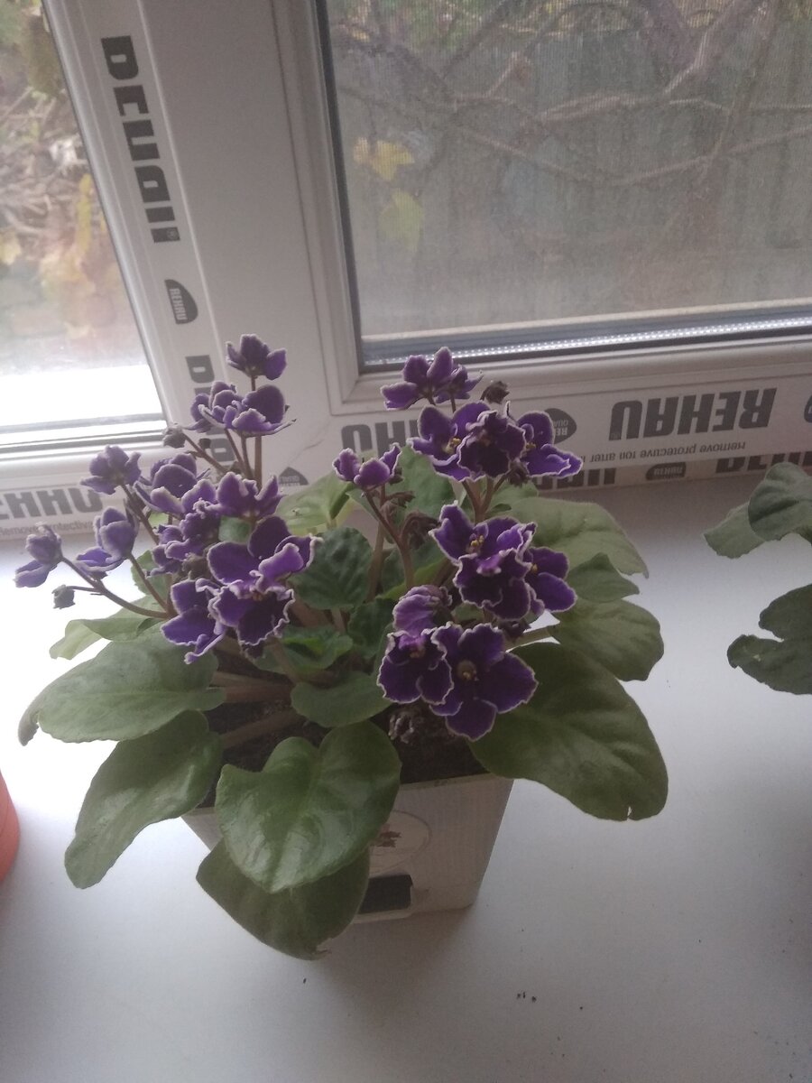 Из личного архива