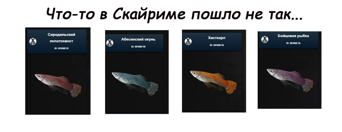  Сиродильский лопатохвост, абесинский окунь, хисткарп, бойцовская рыбка