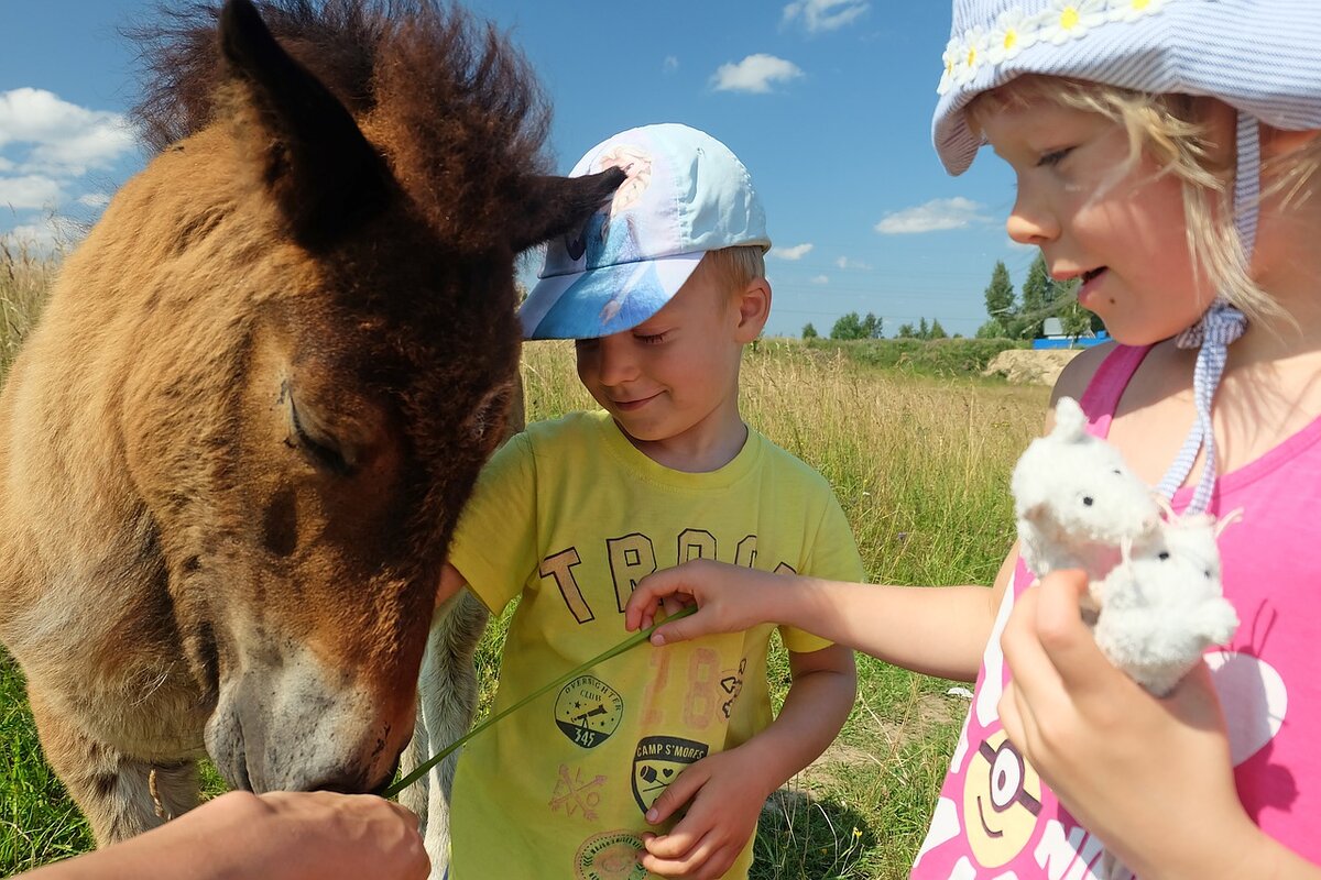 Фото с сайта pixabay.com