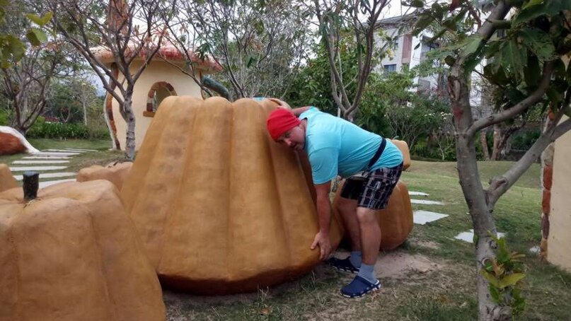      В одной упряжке. Отношения, как источник энергии?