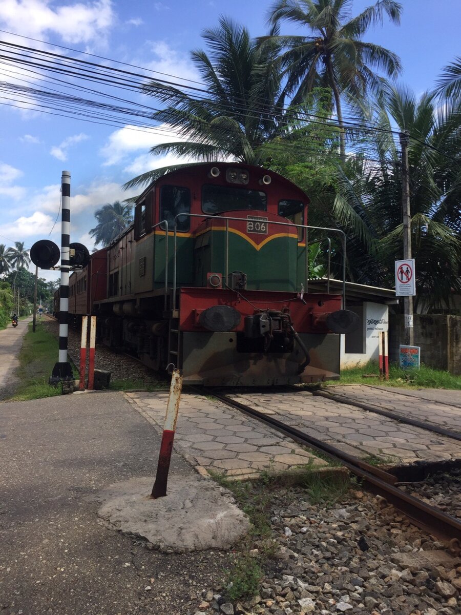 стальной красавец появился из джунглей