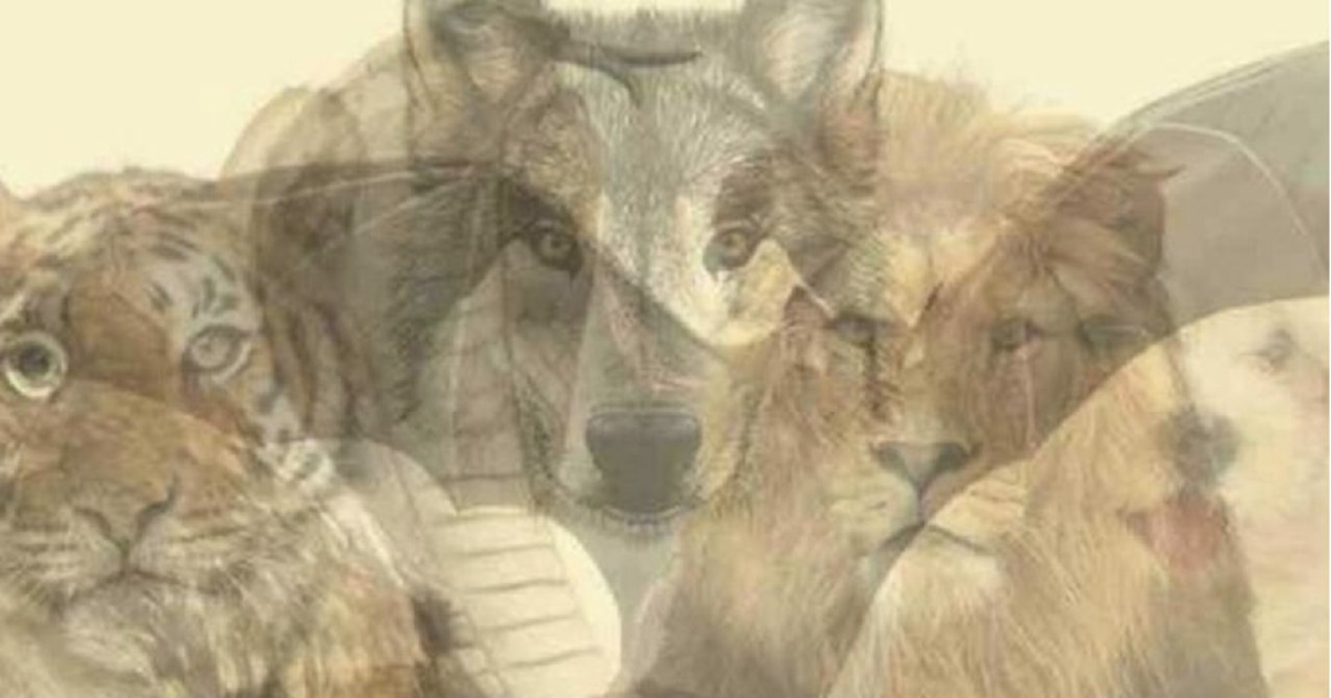 Этот тест не подойдет для азиатских или африканских культур. Потому что данные животные символизируют разные вещи в тех культурах. Я исхожу из того, что раз вы читаете это, то живете в восточной части Европы, а не в Конго или Пакистане. Если меня читают посоны из Пакистана, то заранее извиняйте ))) Итак, вот что означают животные. 