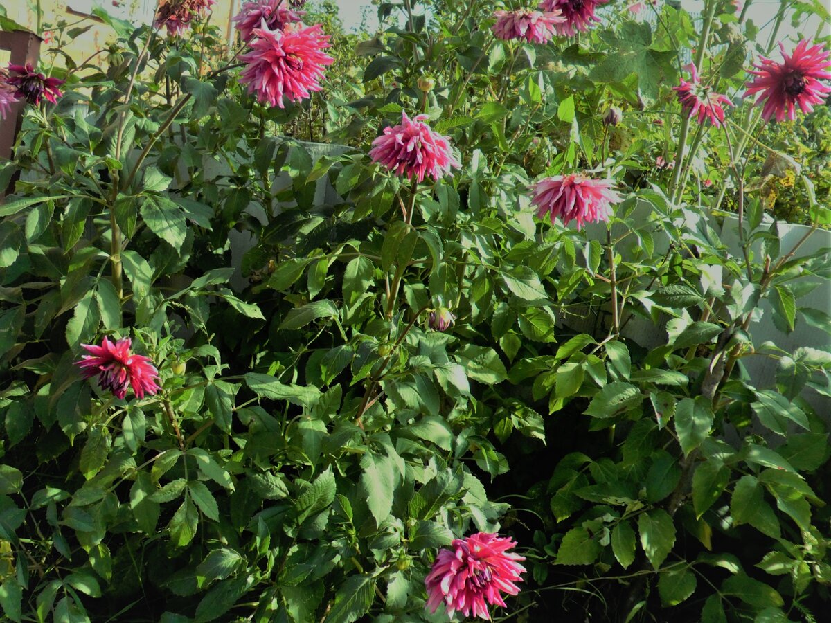 Фото из личного архива.