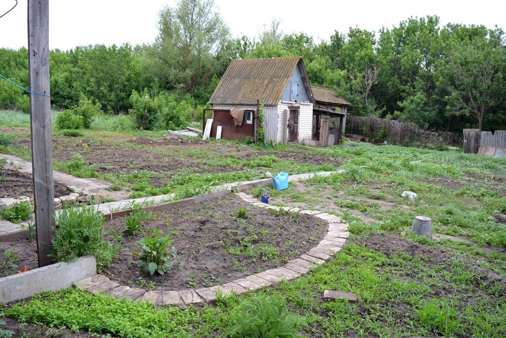 сейчас этот цветник заполнен растюхами под завязку!