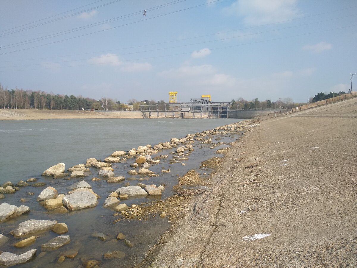 Озеро около берегов было засыпано ворохами желтых. Краснодарское водохранилище Адыгея. Кубанское водохранилище. Тщикское водохранилище Краснодарского края. Река Кубань Краснодар.