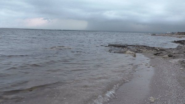 Пляж на территории кемпинга Оленевка VILLAGE