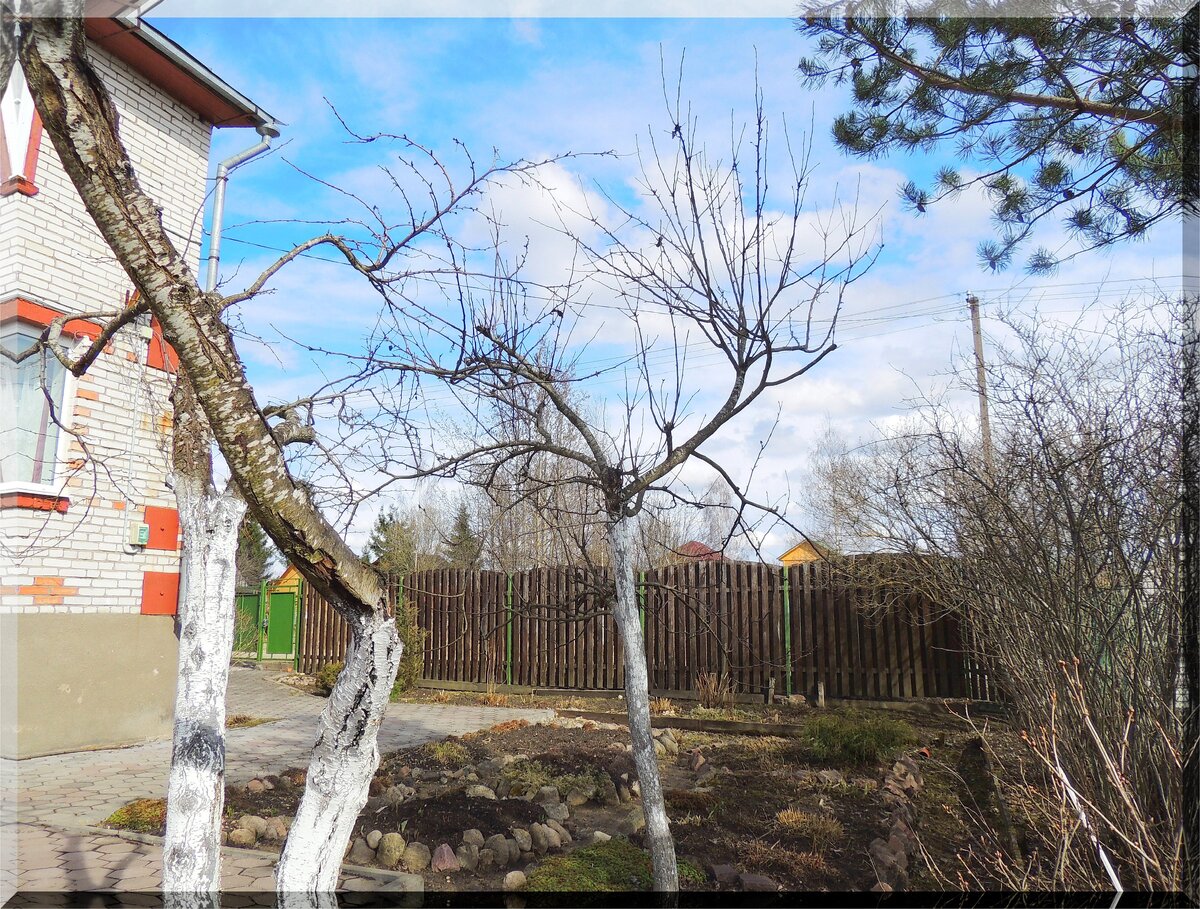 Данная работа была выполнена 12 апреля 2016 года.