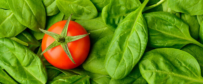 Сыроедение. Несколько важных аспектов