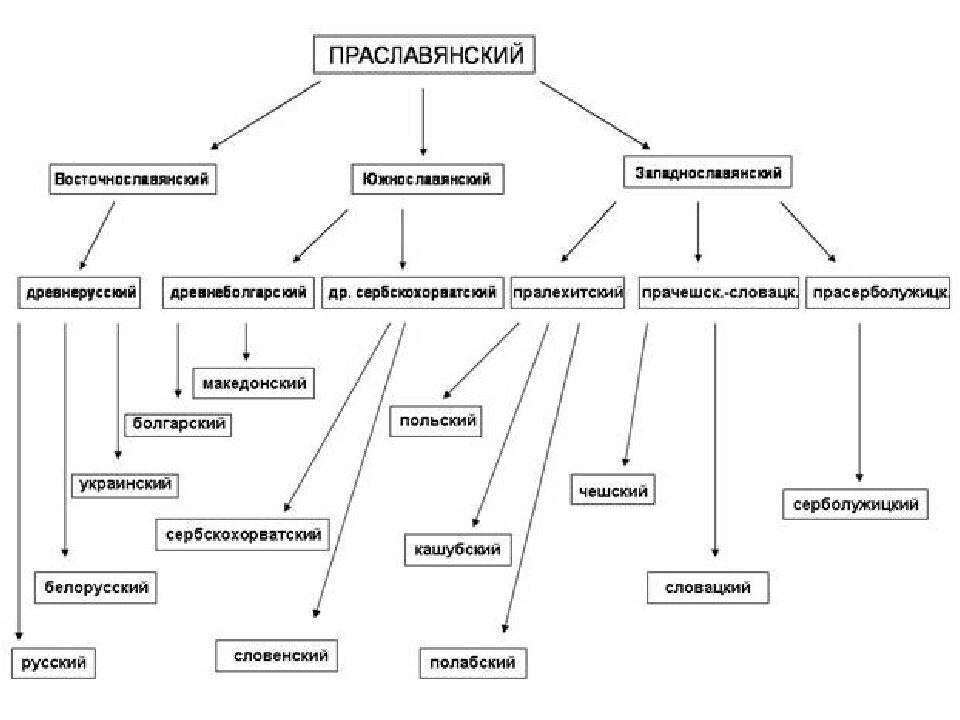 Откуда появились языки. Схема происхождения славянских языков. Праязык праславянский и. Схема развития славянских языков. Славянские языки схема.