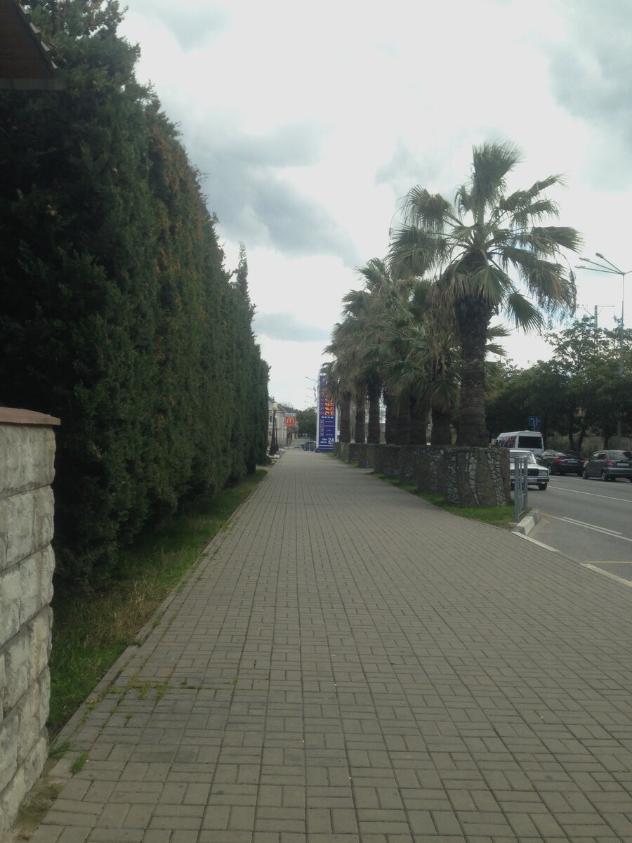 центр Лазаревского