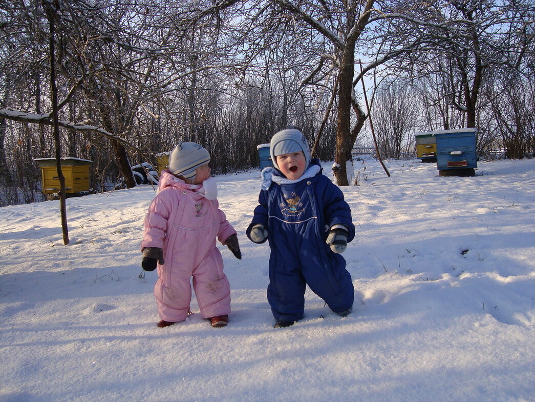 зимовка на воле