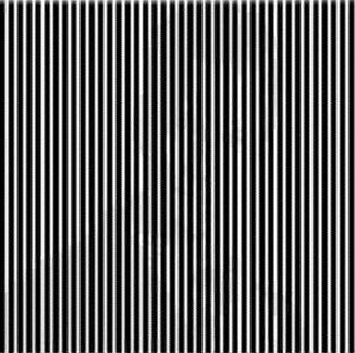 Фото: Свободный доступ