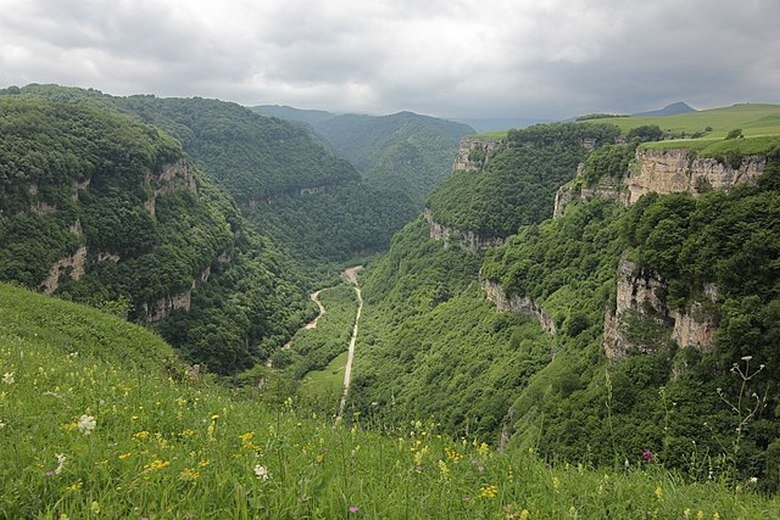 Фото из открытых источников