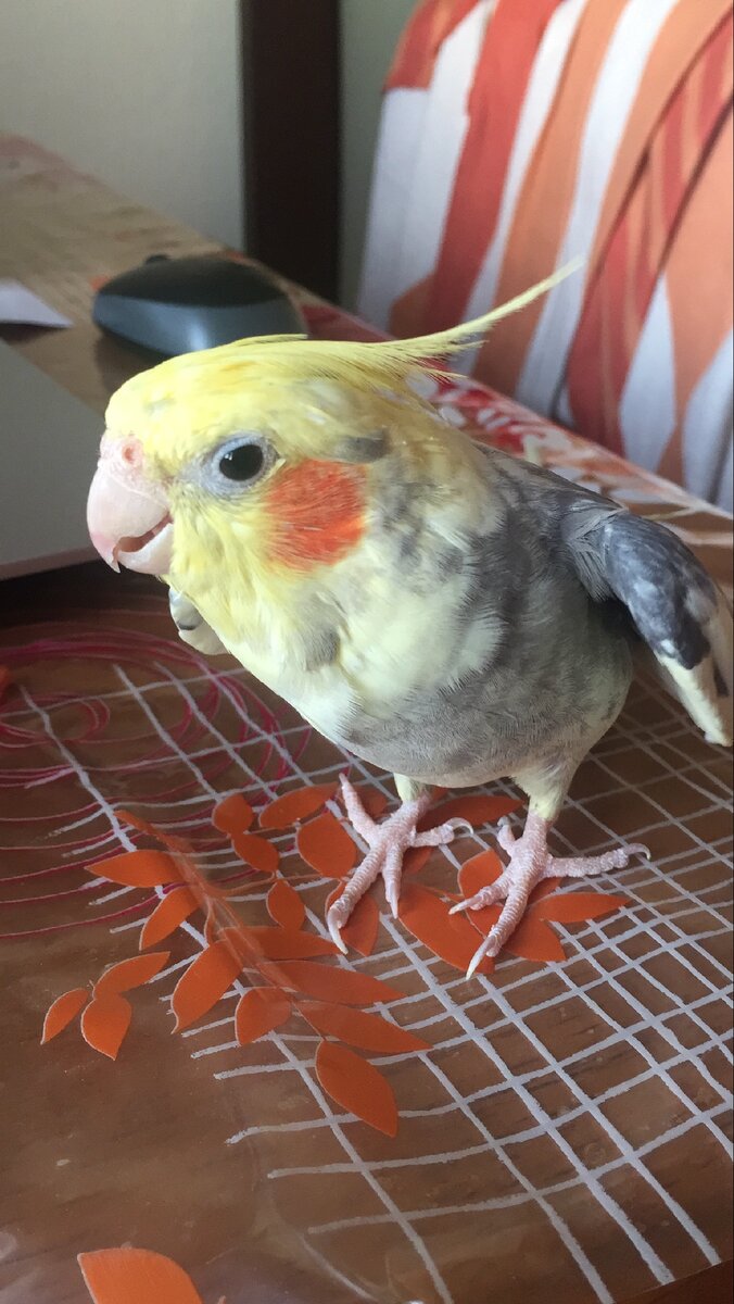 😋