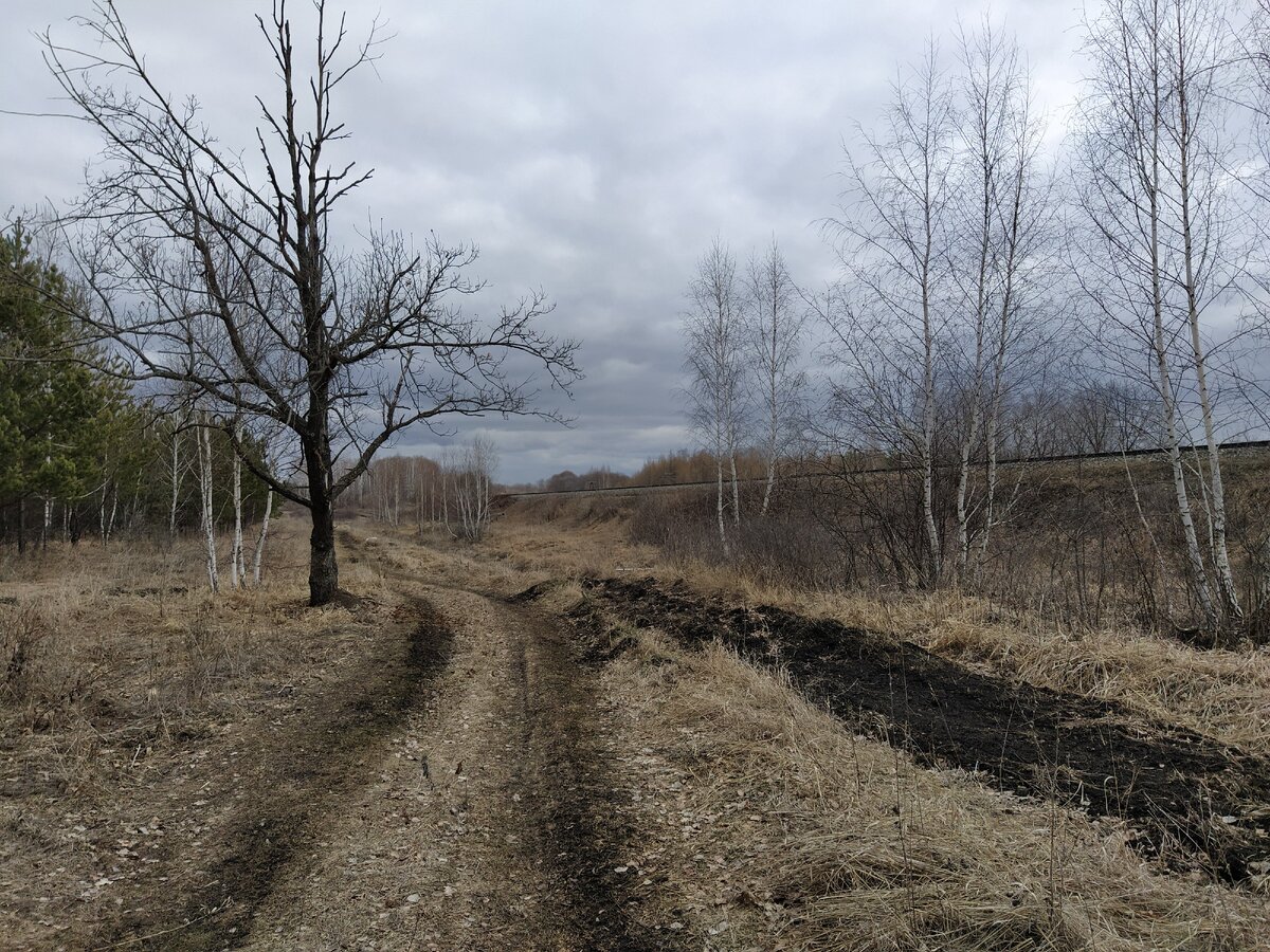 Дорога вдоль поля.