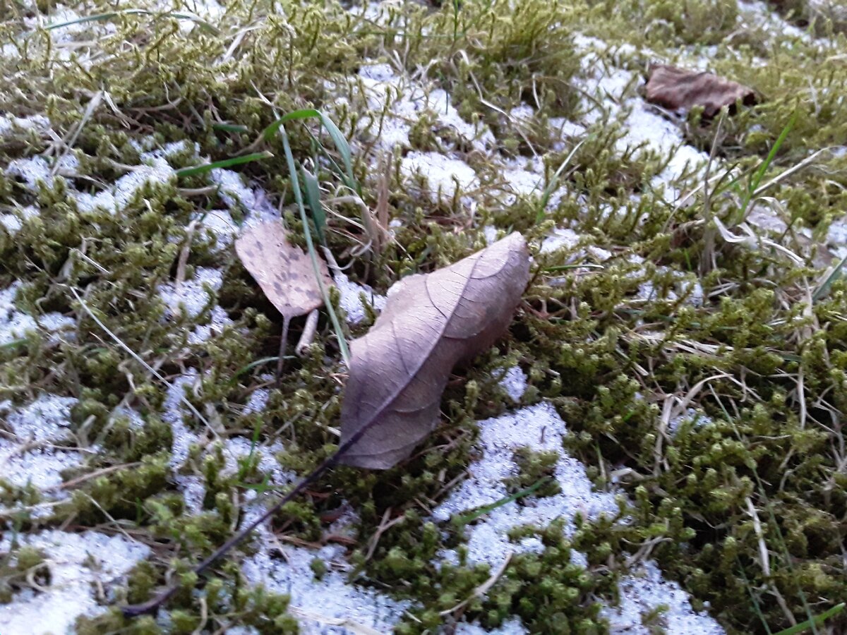 В голове наступает вечная зима....после которой уже не будет весны.