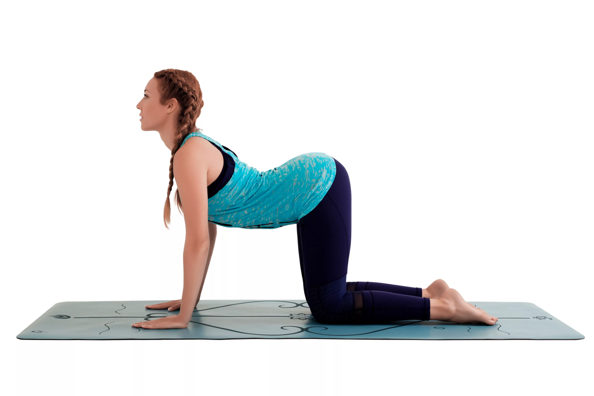 Фото добавлено из открытого источника