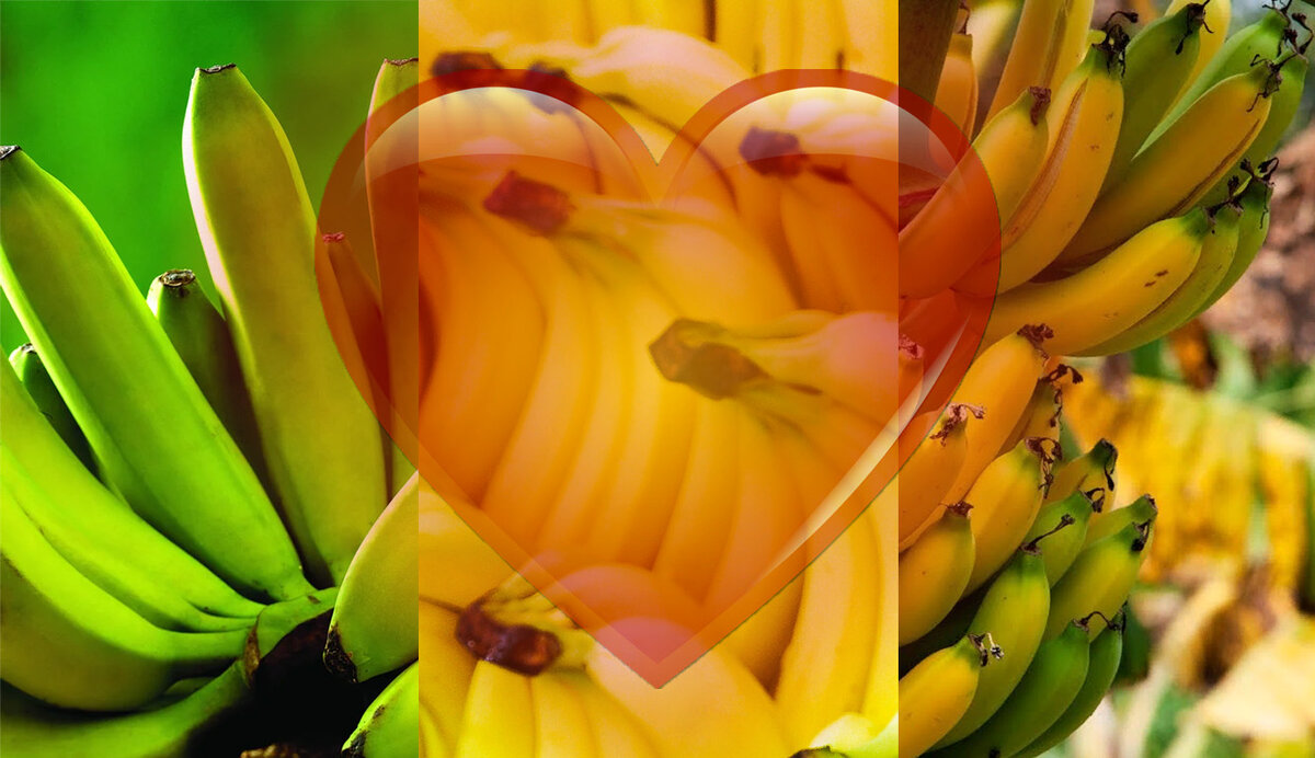 Подписывайтесь на канал и оценивайте статью, этим вы очень помогаете мне.