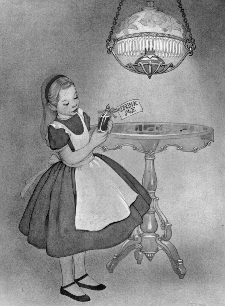 фото из свободных источников