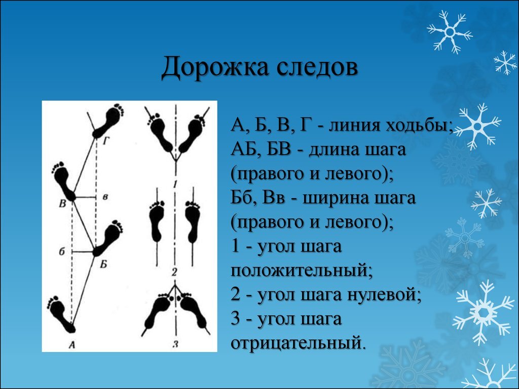 Линия направления движения. Дорожка следов ног криминалистика. Элементы дорожки следов криминалистика. Части дорожки следов ног человека. Дорожки следов ног человека криминалистика.