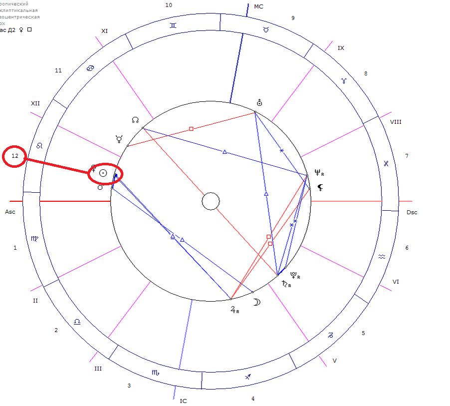 Астрологический разбор. 5 Дом в астрологии отвечает за.