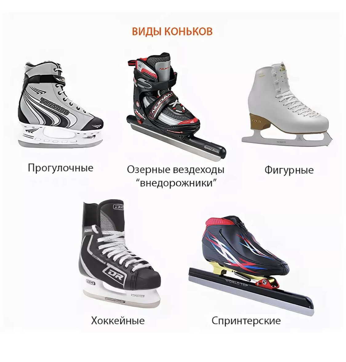 Подобие коньков. Виды коньков. Какие существуют виды коньков. Катания на коньках хоккей. Как выбрать коньки.