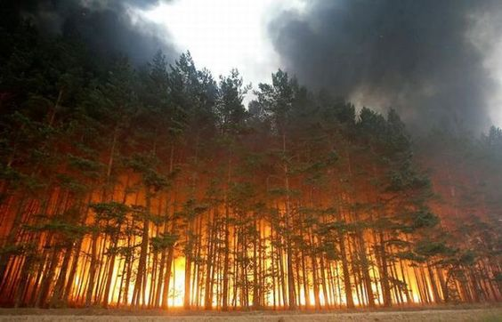 https://www.pinterest.ru/pin/362821313707049236/